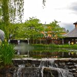 Garden landscaping ideas